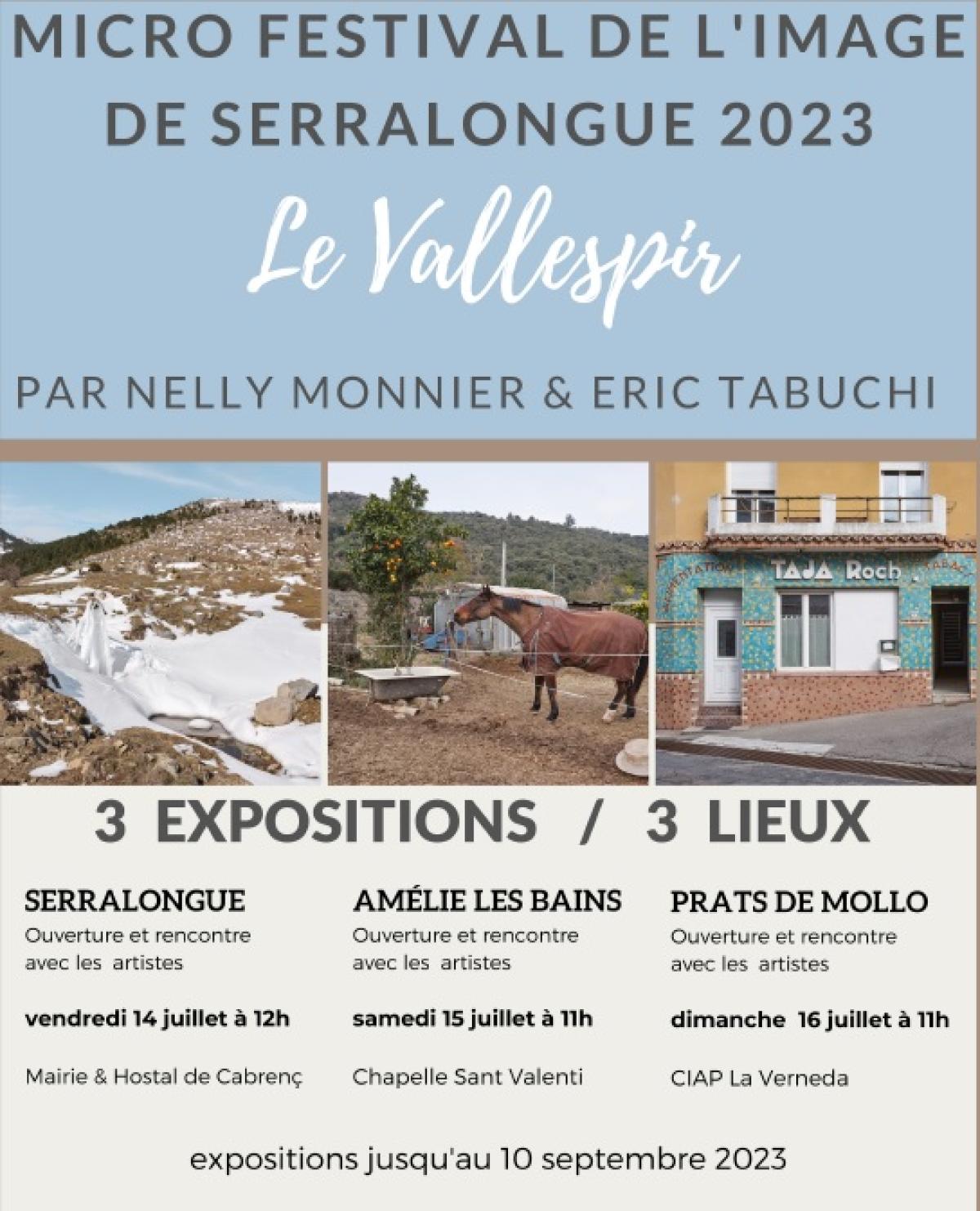 affiche Micro Festival de l'image de Serralongue